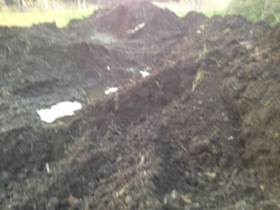 Торф верховой